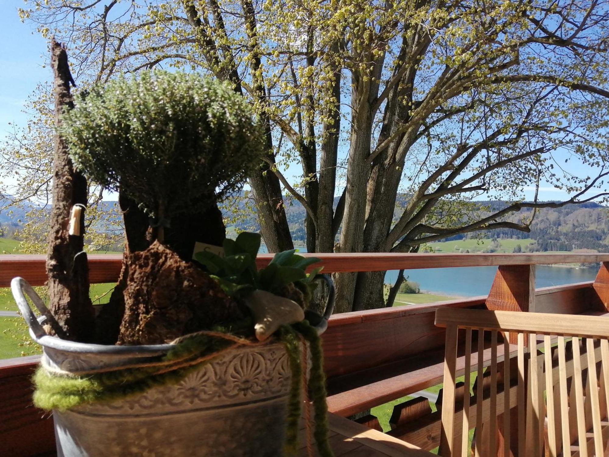 Roiderhof Irrsee Oberhofen am Irrsee Екстериор снимка